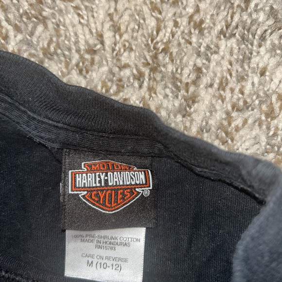 Harley Davidson Looney Tunes collaboration - Picture 2 of 3